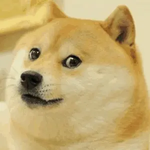 such wow