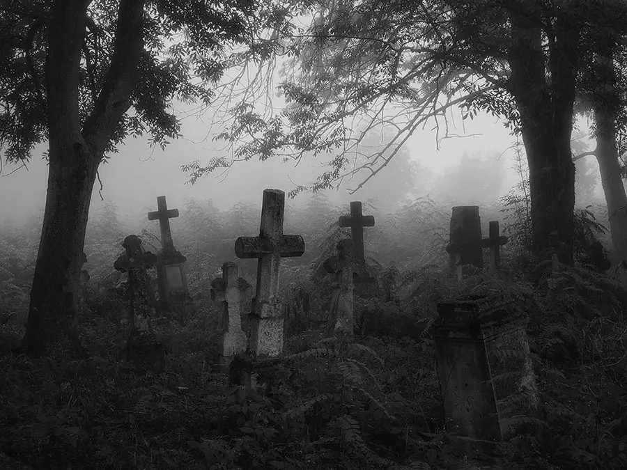 Old gravestones in a foggy, overgrown cemetery